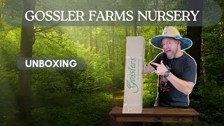 Japanese Maple Unboxing Gossler Farms Nursery [upl. by Haiacim659]