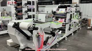 FPL4802 480mm 2 Color Stack Flexo Printing And Die Cutting Machine [upl. by Kaja89]