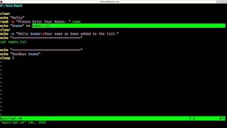 Writing your First Shell Script for Linux Tutorial [upl. by Demitria]