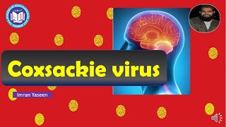 Coxsackie virus causes Herpangina and pleurodynia  Virology  by Imran Yaseen [upl. by Luther247]