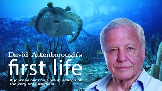 First Life with David Attenborough  Ep 2 Conquest 2010 [upl. by Campbell]