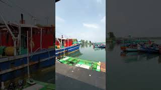 AZHIKKAL FISHING HARBOUR AZHIKKAL BOAT JETTY Fishing Harbours in kerala  fresh fishes available [upl. by Ordnasela]