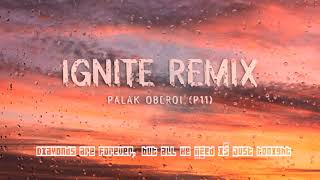 Alan walker amp K391 Ignite remix  P11 remix  Future bass remix  EDM  2021 [upl. by Massie]