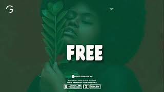 Amapiano Instrumental 2024 Zinoleesky x Young John Type Beat  quotFREEquot amapianotypebeat [upl. by Eirena621]