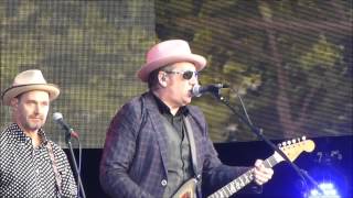 Elvis Costello  Olivers Army Live [upl. by Geaghan]