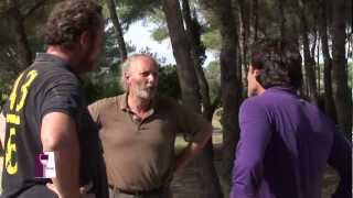 Vin dune île vin de rêve Découvrir Porquerolles avec le Domaine de la Courtade [upl. by Aeslehs]