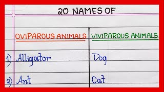 Example of Oviparous and Viviparous Animals  10  20 List of Oviparous and viviparous animals [upl. by Nauqyt548]