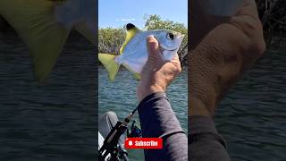 Kayak fishing on new Hand Caster REEL [upl. by Chelsey986]