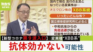 【新型コロナ第９波】 現在流行中の変異株『ＸＢＢ系統』は“免疫逃避”の可能性「ワクチンで獲得した抗体が効かなくなるかも」【MBSニュース解説】（2023年6月19日） [upl. by Eerazed710]