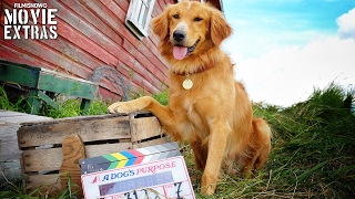 Go Behind the Scenes of A Dogs Purpose 2017 [upl. by Gwenneth]