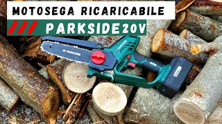 Motosega Ricaricabile A BATTERIA PARKSIDE 20V [upl. by Nagar]