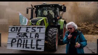 Colère des agriculteurs  Une crise enracinée [upl. by Aibar]