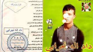 Dadullah Nejrabi New Best songs  دادالله نجرابى اهنګهاى جديد [upl. by Hauhsoj]