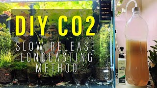 Slow Release or Long Lasting DIY CO2 for Planted Tanks  Tamil  Amudh Aquascapes [upl. by Ettedo]