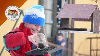 ZSKosariska  Vtacie rana v dedinskej skole [upl. by Rossuck]