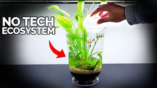 No Tech Ecosystem Vase For Anywhere In Your Home [upl. by Liu941]