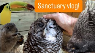 Sanctuary vlog [upl. by Kowatch]