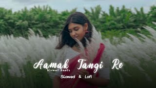 Aamak Tangi Re  New Santhali Lofi 2024  Birmali Beatz  Slowed amp Rever [upl. by Zach]