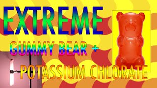 EXTREME Gummy bear experiment with potassium chlorate A Redox reaction [upl. by Arvie888]