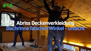 14 Renovierung altes Holzhaus  Dachrinne undicht Abriss Deckenverkleidung [upl. by Anwahsat]