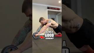 AB Rollouts Are they any good coreexercises [upl. by Derk29]