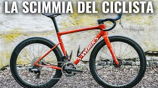 La Scimmia del Ciclista [upl. by Yatnoed]