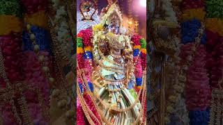 Enfield Nagapooshani Ambaal’s Temple  311020242024 [upl. by Baily]