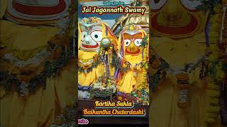 Baikuntha Chaturdashi Jagannath Darshan  Sabuthi Jagannatha  SNo  362 [upl. by Eustache]