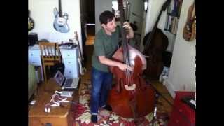 Upright Bass for Rent in NYC from a PRO bassist [upl. by Dnalram335]