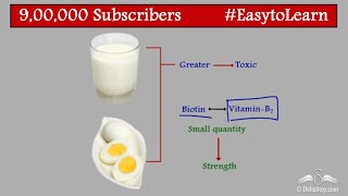 Vitamin B Complex  Diseases  Class 6  CBSE  NCERT  ICSE [upl. by Asirral97]