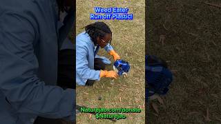 RUNNING WEED EATER off of PLASTIC GASOLINE ⛽️ science naturejab education foryoupage fyp [upl. by Ahcilef]