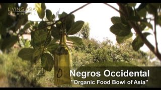 Organic Farming in the Philippines Living Asia Channel Documentary Organic Negros Occidental [upl. by Eecrad]