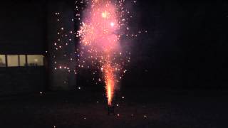 Sacramento Bee Firework Review  Phantom Alpha Wolf [upl. by Attelrahc]