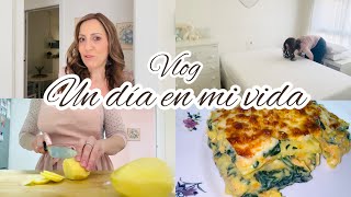 ✨EMPIEZAN LOS CAMBIOS✨PASTEL VERDURAS🥕VOLVEMOS A REPETIRCOLCHÓN EMMA HYBRID PREMIUM lepetitvlogs [upl. by Gaw285]