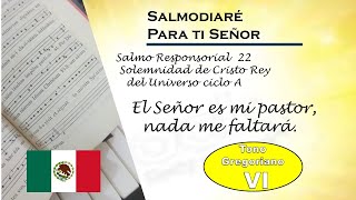 salmo responsorial 22 Cristo Rey Ciclo A lec Mexicano modo gregoriano [upl. by Anstus]