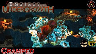 Empires of the Undergrowth  Cramped Extra Level [upl. by Rillis711]