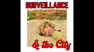 Surveillance and the City  Podcast Episode 1 [upl. by Meunier]