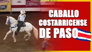 ​🐴🇨🇷​ ​​Caballo Costarricense de Paso Historia  Elegancia  Brio Costa Rica [upl. by Thant]