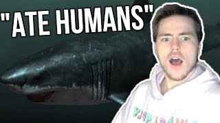 Fish Biologist reacts to quotAI Generated Megalodon Documentaryquot [upl. by Adnilg]