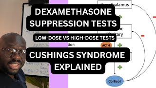 DEXAMETHASONE SUPPRESSION TESTS EXPLAINED  CUSHING SYNDROME  MEDICINE [upl. by Eisinger]