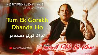 Tum Ek Gorakh Dhanda Ho  Nusrat Fateh Ali Khan  Vol 9 [upl. by Zamir]