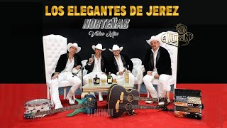 Los Elegantes de Jerez MIX 2023  Nuevas  Dj Alfonzin [upl. by Ralston]