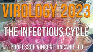 Virology Lectures 2023 2 The Infectious Cycle [upl. by Liagabba]