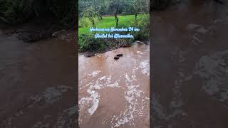 Hochwasser November 2024 zinnisabenteuer kreiskusel glantal nature hochwasser fluss fishing [upl. by Sophy]