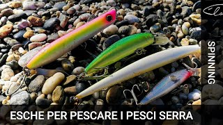 Quali sono le esche per pescare i Pesci Serra a Spinning [upl. by Atiuqel]