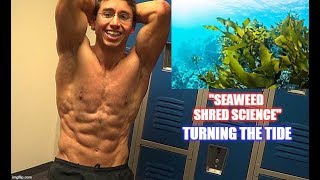 How Seaweed Burns Belly Fat [upl. by Bible286]