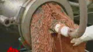 Video Spawns Largest Beef Recall in US [upl. by Annaitsirhc]