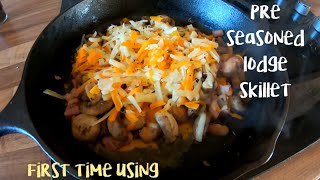 Lodge cast iron skillet first time use  pre seasoned  cast iron cooking [upl. by Ahsien456]