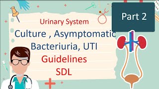 Culture  Asymptomatic Bacteriuria  UTI Guidelines  Part 2 [upl. by Alvina]