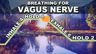 Breathing Exercise for Vagus Nerve Stimulation [upl. by Naujyt]